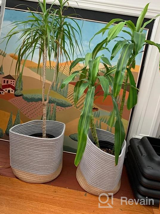 img 1 attached to ZOUTOG 11'' X 11'' Woven Cotton Rope Basket Indoor Planter Cover Up To 10 Inch Pot Storage Organizer With Handles Plant Basket. review by Dru Labrado
