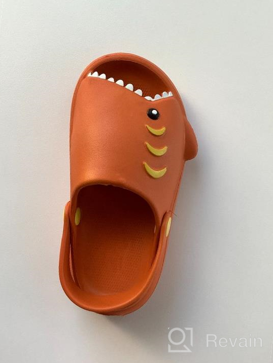 img 1 attached to 👦 Cute and Comfy Lightweight Sandals Cartoon Non Slip Slippers for Boys - Clogs & Mules review by Agonia Pedrosa