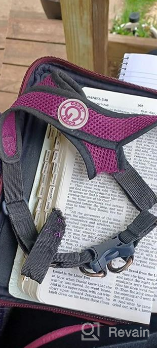 img 1 attached to Gooby Comfort X Step In Harness V2 - Large, Turquoise(Pink) - No Pull Small Dog Harness Patented Adjusting Choke-Free X Frame - Perfect On The Go Dog Harness For Medium Dogs No Pull And Small Dogs review by Marcus Hardin