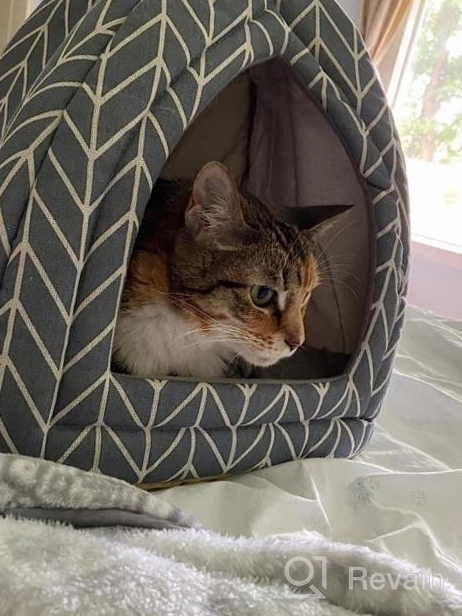 img 1 attached to Hollypet Self-Warming Cat Tent Cave Bed For Kittens & Small Dogs, 15X15X15" Triangle House Hut With Washable Cushion Indoor Outdoor Blue Feather review by Roger Weinmunson