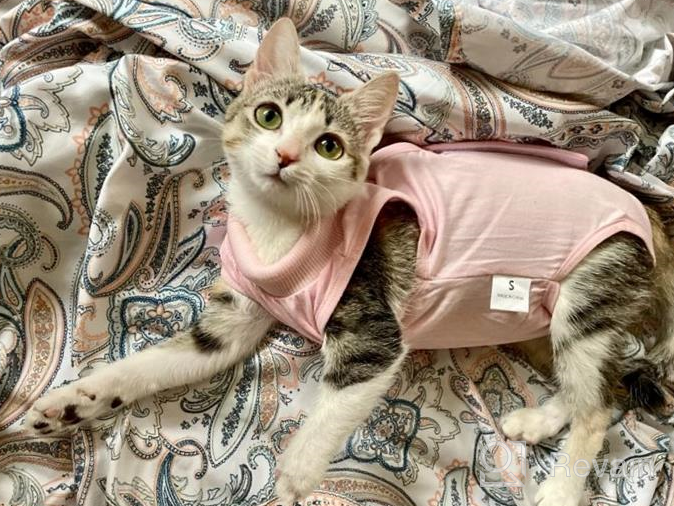 img 1 attached to Cat Surgery Recovery Suit: Surgical Abdominal Wound Protection For Indoor Pets - E-Collar Alternative Post-Surgery Pajama Suit review by Bill Escobar