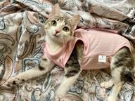 картинка 1 прикреплена к отзыву Cat Surgery Recovery Suit: Surgical Abdominal Wound Protection For Indoor Pets - E-Collar Alternative Post-Surgery Pajama Suit от Bill Escobar
