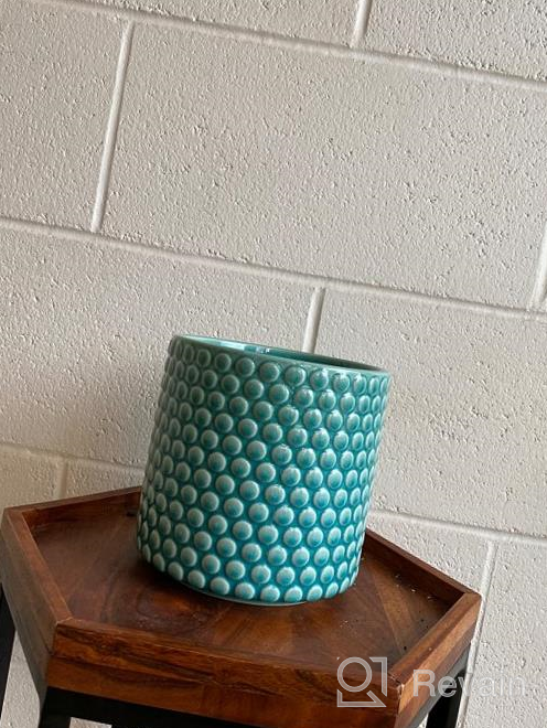 img 1 attached to 6 Inch Ceramic Planters Pots With Drainage Hole For Indoor Plants, Succulent Cactus - POTEY 054304 Vintage Style Polka Dot Patterned Bonsai Container (Plants NOT Included) review by Billy Mariner