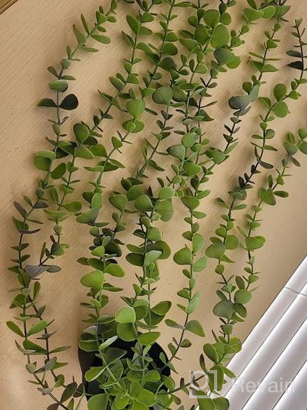 img 1 attached to Small Artificial Hanging Plants Decor With Pot - Faux Eucalyptus Greenery Vines For Indoor And Outdoor Home Décor, FUNARTY Fake Plants Set Of 3 review by Jeff Richmond