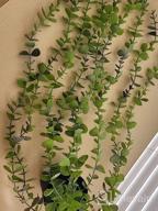 img 1 attached to Small Artificial Hanging Plants Decor With Pot - Faux Eucalyptus Greenery Vines For Indoor And Outdoor Home Décor, FUNARTY Fake Plants Set Of 3 review by Jeff Richmond