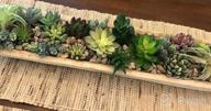 img 1 attached to Decorate Your Home With Supla 15 Pcs Assorted Artificial Succulent Plants - Bulk Pack review by Johnny Grant