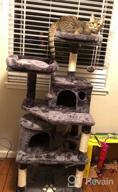 img 1 attached to 🐱 Ultimate Cat Playground: BEWISHOME Cat Tree with Scratching Posts, Condos, Perches, Balls, Hammock – Brown MMJ01Z review by Victor Jack