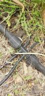 img 1 attached to 50Ft 1/4In Bonviee Drip Irrigation Tubing For Garden Watering System review by Trey Dikici