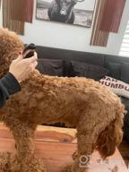 картинка 1 прикреплена к отзыву Quiet And Easy Grooming With Oneisall Rechargeable Dog Shaver Clippers от Pradeep Dhimal