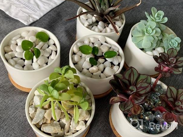 img 1 attached to Add Elegance To Your Space With ZOUTOG Mini Ceramic Succulent Planters - Pack Of 4 review by Rico Posley