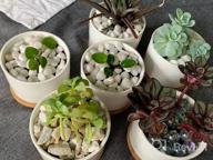 img 1 attached to Add Elegance To Your Space With ZOUTOG Mini Ceramic Succulent Planters - Pack Of 4 review by Rico Posley
