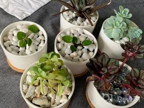 img 8 attached to Add Elegance To Your Space With ZOUTOG Mini Ceramic Succulent Planters - Pack Of 4