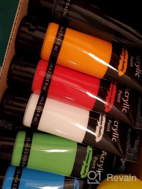 img 1 attached to Emooqi Acrylic Paint Set - 12 Vivid Colors (2.54 Oz/75Ml) With 3 Brushes, Non Toxic & Non Fading Art Supplies For Canvas Painting, Ideal For Painters Of All Ages! review by Wayne Flores