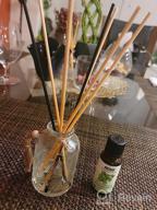 img 1 attached to Hossian Natural Rattan Reed Diffuser Sticks For Aroma Fragrance - Set Of 25 X 7" X 3Mm Primary Color Sticks With Refillable Glass Bottles And Reed Stick Replacements review by John Barnett