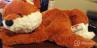 img 1 attached to 10" Orange/Red GUND Cozys Collection Lion Plush Stuffed Animal For Ages 1 And Up review by Abby Johnson