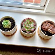 img 1 attached to Add A Touch Of Elegance To Your Garden With ZOUTOG Succulent Plant Pots - Set Of 4 Water Pattern Ceramic Pots With Bamboo Tray! review by Gavin Hernandez