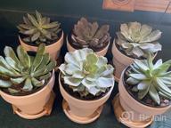 img 1 attached to Stylish And Practical: 6-Pack Vensovo 4-Inch Metal Plant Pots With Saucers And Drainage Hole For Perfect Planting And Weddings review by Brady Penczak