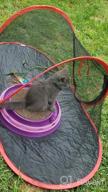 img 1 attached to Cat Tent Outdoor, Pet Enclosure Tent Suitable For Cats And Small Animals, Indoor Playpen Portable Exercise Tent With Carry Bag（Black） review by Cindy Epps