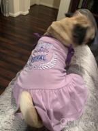 img 1 attached to 2 Pack Princess Bowtie Dog Dresses - Cute Sundresses For Small Dogs By KYEESE review by Jason Rodman