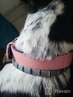 img 1 attached to Feeko Reflective Dog Collar - Upgraded Heavy Duty Waterproof Collar With 360° Surround Neoprene Padding For Comfortable And Durable Fit In Small, Medium And Large Sizes review by Shakira Anderson