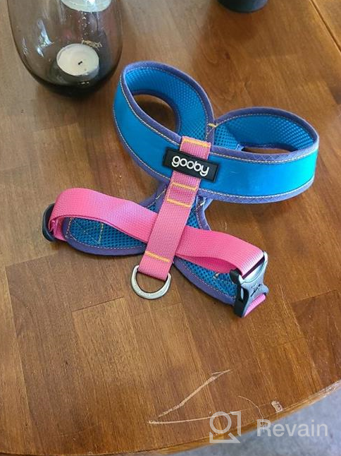 img 1 attached to Gooby Comfort X Head In Harness - Blue, Medium - No Pull Small Dog Harness, Patented Choke-Free X Frame - Perfect On The Go Dog Harness For Medium Dogs No Pull Or Small Dogs For Indoor And Outdoor Use review by Michael Langelius