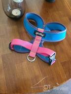 картинка 1 прикреплена к отзыву Gooby Comfort X Head In Harness - Blue, Medium - No Pull Small Dog Harness, Patented Choke-Free X Frame - Perfect On The Go Dog Harness For Medium Dogs No Pull Or Small Dogs For Indoor And Outdoor Use от Michael Langelius