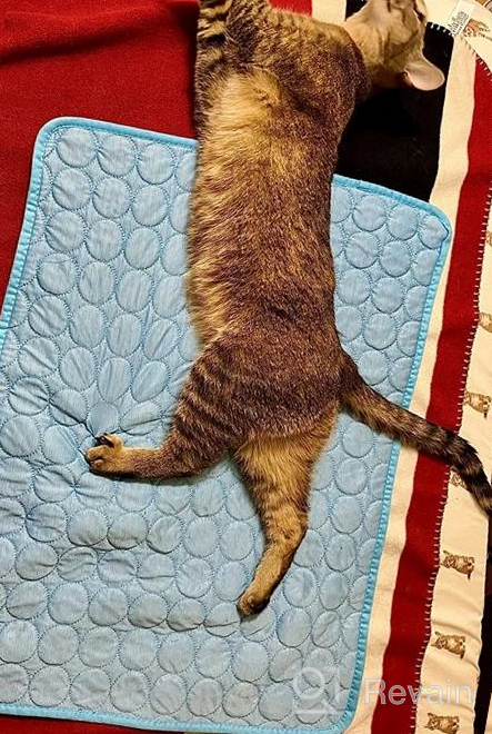 img 1 attached to Keep Your Furry Friends Cool And Comfortable With VeMee Cooling Mat Pad - XL Size, Ice Silk Material, Perfect For Kennels, Beds, And Car Seats! review by Jon Booth