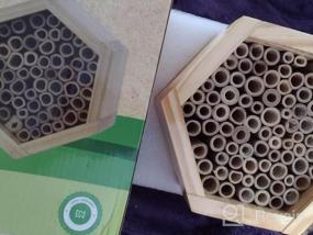img 6 attached to Boost Your Garden'S Pollination With KIBAGA'S Handmade Bamboo Mason Bee House - A Haven For Productive And Peaceful Bee Pollinators!