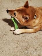 картинка 1 прикреплена к отзыву Indestructible Dog Chew Toys For Large Breeds - Oneisall Bone Chew Toy For Aggressive Chewers от Johnny Price