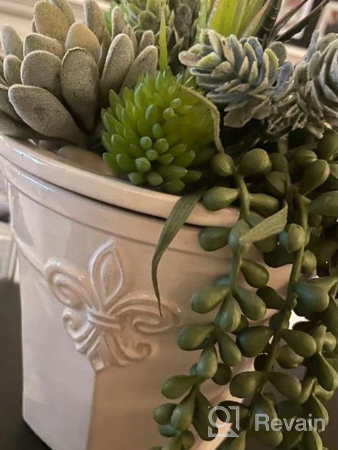 img 1 attached to Supla 14 Pcs Artificial Succulents Plants In Bulk Assorted Unpotted Hanging String Of Pearls Cactus Aloe Picks Small Fake Succulents For Wreath Centerpiece Floral Arrangement Indoor Outdoor Home Décor review by Rahul Schatz