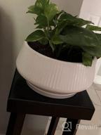 img 1 attached to POTEY 8.8 Inch Large Ceramic Plant Pots With Drainage Holes And Plugs For Indoor & Outdoor House Plants Such As Christmas Cactus, Scindapsus Aureum, And Ivy Vine - 805 Black review by Alex Tinker