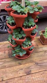 img 5 attached to Maximize Your Strawberry Yield With Mr. Stacky'S 5-Tier Planter Pot - 5 Pots To Grow Even More!