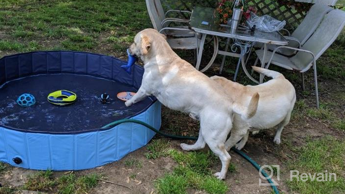 img 1 attached to Collapsible Dog And Pet Pool - 48Inch.D X 11.8Inch.H - Perfect For Bathing Dogs, Cats, And Kids - Foldable And Portable - Blue By Jasonwell review by Cody Michels