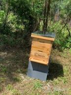 картинка 1 прикреплена к отзыву Complete 8 Frame Beehive Kit With Fully-Coated Beeswax Frames And Foundation Sheet (2-Layer) For Optimal Beekeeping Performance от Charles Woods