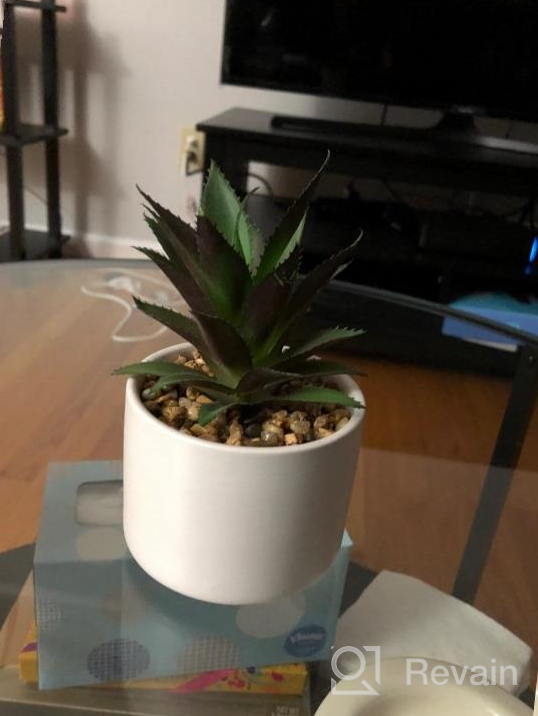 img 1 attached to Artificial Agave Succulent Plant In Ceramic Pot - Perfect Decoration For Home, Office, Or Bath Shelves review by Jeff Diaz