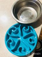 img 1 attached to Wangstar Slow Feeder Bowl For Dogs And Cats - Fun Maze Puzzle Bowl With Bloat Stop Feature, Anti-Skid Design - Blue Color, 8'' X 1.9'' Size review by Michael Reese