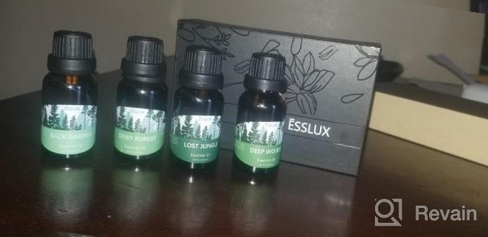 img 1 attached to Premium Woodsy Essential Oils Gift Set From ESSLUX Forest Collection For Diffuser, Home Fragrance, And Soap Candle Making - High-Quality Essential Oils Blend review by Cathy Donaldson