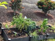 img 1 attached to 4-Piece Plastic Garden Bed Set By Watex For Easy And Efficient Gardening review by Andrea Gleason