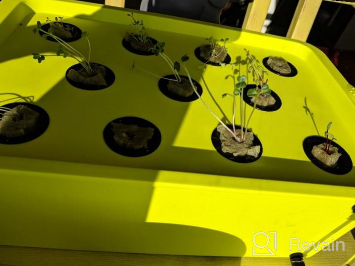 img 1 attached to Grow Fresh Herbs At Lightning Speed: Complete DWC Hydroponic System Kit With Large Airstone, 6-Site Bucket, And Air Pump For Indoor Kitchen Garden review by Justin Wallace