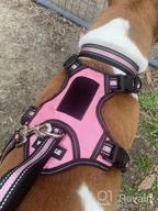 img 1 attached to WINSEE Pet Harness Collar And Leash Set, All-In-One Reflective Dog Harness No Pull With Adjustable Buckles For Puppies, Small, Medium, Large, And Extra-Large Dogs (Small, Black) review by Daniel Mettler