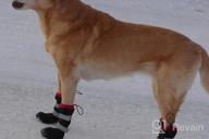 img 1 attached to Winter Dog Snow Boots: Fleece-Lined, Anti-Slip & Reflective Waterproof Shoes For Medium Large Dogs - Perfect For Walking, Hiking & Running Outdoors! review by Edgar Clark