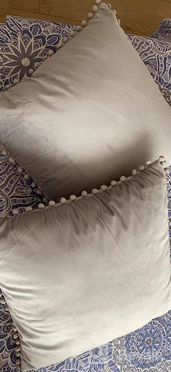 img 1 attached to Set Of 2 Super Soft Plush Decorative Velvet Pillow Covers For Home And Sofa, 18X18 Inches, Light Grey By Deconovo review by Adam Jacobs