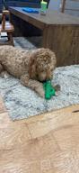 img 1 attached to Durable Squeaky Dog Toys For Aggressive Chewers - Rmolitty Tough Rubber Dental Chew Toys For Large, Medium & Small Breeds (Green) review by Nicholas Peters