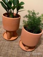 img 1 attached to Set Of 2 - 4.5" Terracotta Clay Plant Pots W/ 3 Legs & Saucer | Indoor Succulent Planters review by Kenneth Barnes