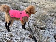 img 1 attached to Keep Your Dog Warm And Visible In The Cold With MIGOHI'S Waterproof And Windproof Dog Coat review by George Mendoza