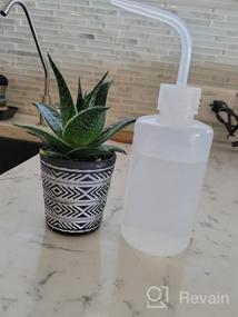 img 7 attached to 250Ml Plastic Squeeze Bottles For Plants And Flowers - Ideal Narrow Mouth Watering Tools For Succulent Gardens And Indoor Plant Care