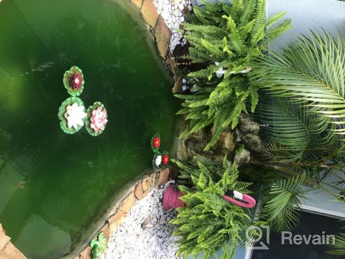img 1 attached to Pennington Aquagarden, Inpond 5 In 1 Pond & Water Pump, Filter, UV Clarifier, LED Spotlight And Fountain, All In One Solution For A Clean, Clear, And Beautiful Pond, For Ponds Up To 600 Gallons review by Taffy Taylor