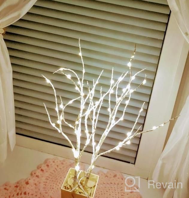 img 1 attached to 70 LED Battery Operated Twig Branches - Fairy Lights For Home Winter Christmas Decorations Indoor/Outdoor Use review by Carrie Thal