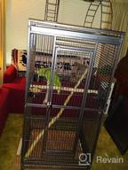 img 1 attached to Large Double Ladders Open Play Top Wrought Iron Bird Parrot Parakeet Finch Macaw Cockatoo Cage, Include Seed Guard And Toy Hook (39.5" L X 30.5" W X 67" H, Black Vein) review by Duane Mann
