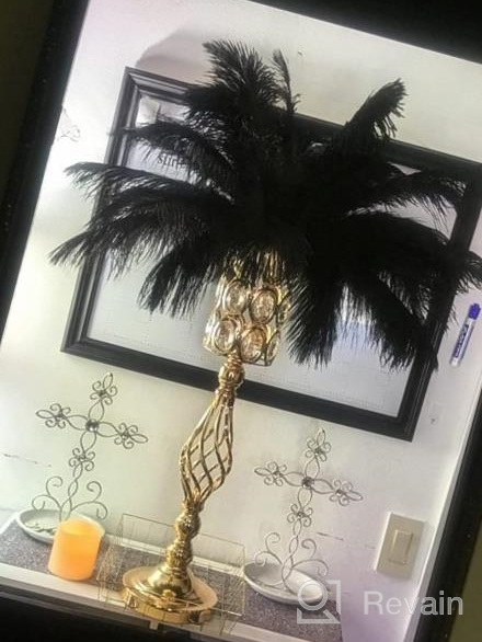 img 1 attached to 20Pcs Black Ostrich Feathers 12-14In Plumes Bulk DIY Halloween Decorations Wedding Party Centerpieces Gatsby Decorations review by Raymond Vogel